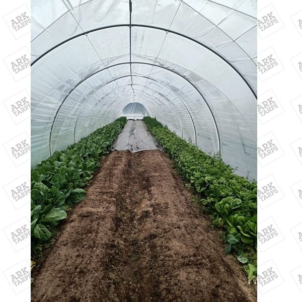 Weed Control Tarps