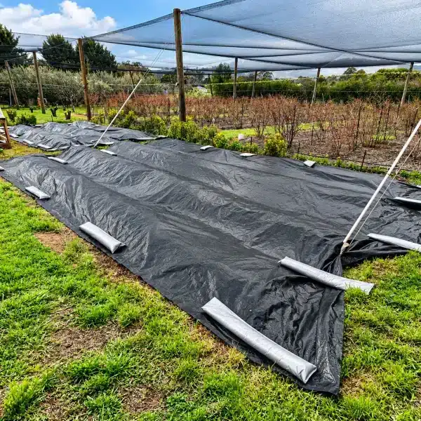 Weed Control Tarps