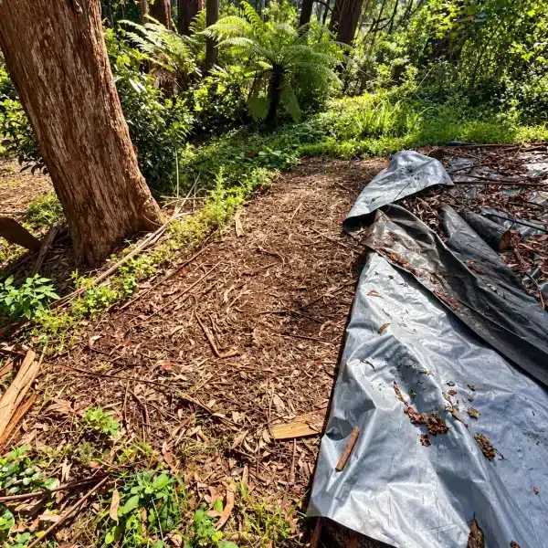 Weed Control Tarps