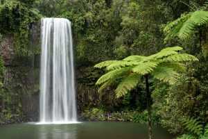 Millaa Millaa Falls