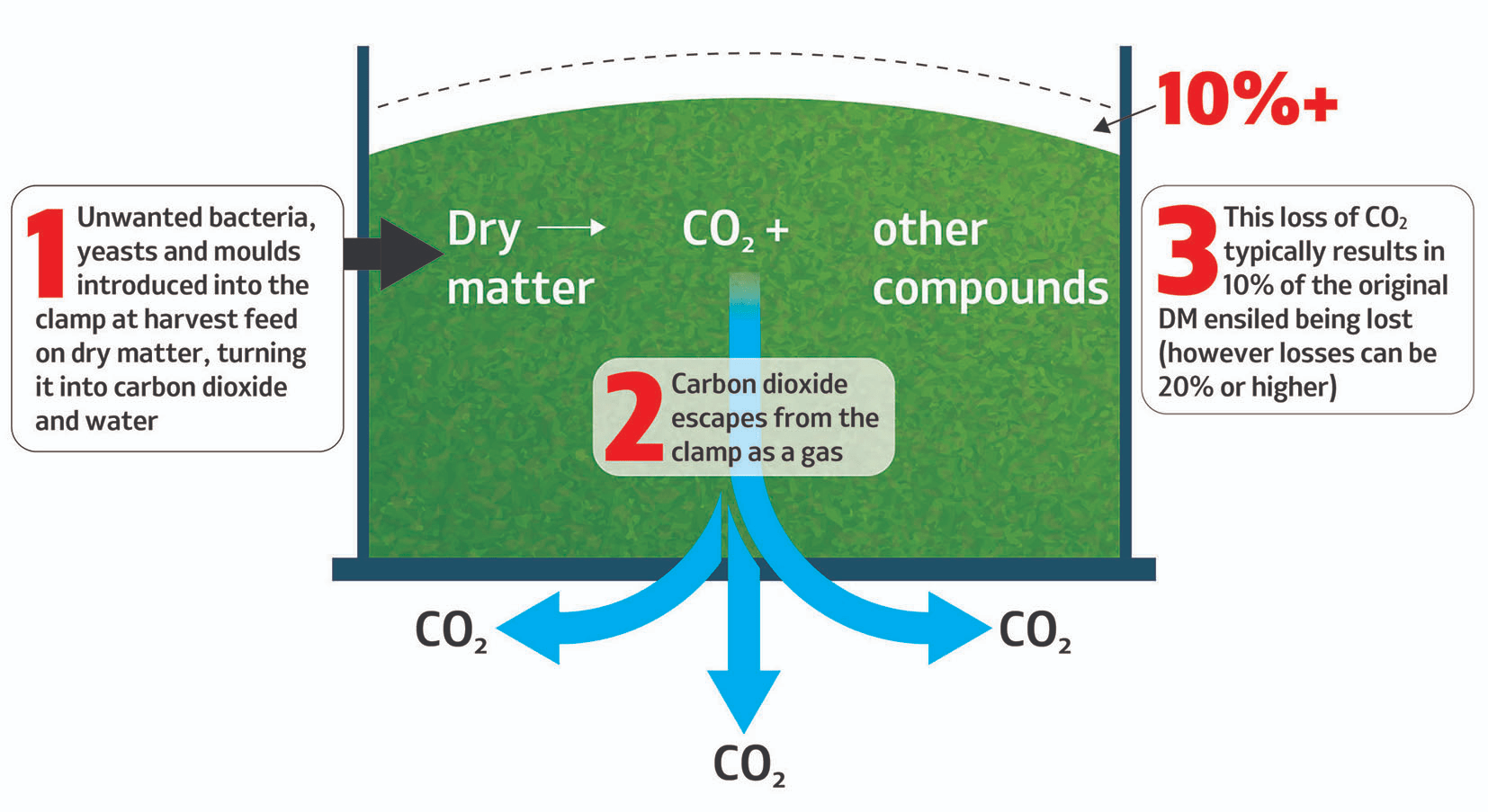 Moisture and Fermentation Control Matter for Silage
