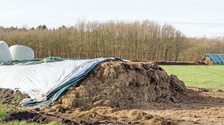 Silage Tarp vs Plastic Sheeting: What Works Better for Moisture and Fermentation Control?
