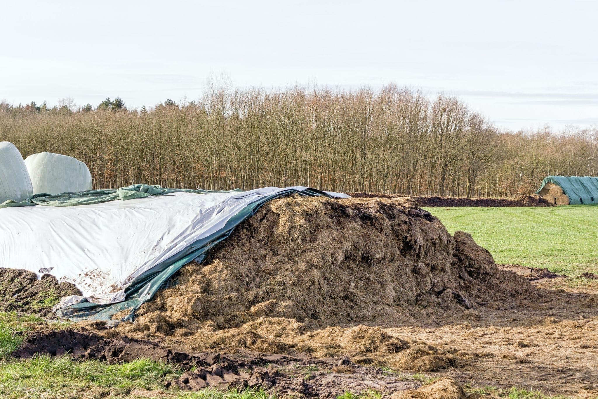 Silage Tarp vs Plastic Sheeting - What Works Better for Moisture and Fermentation Control