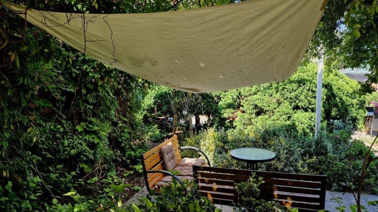 Best Tarps for Backyard Shade: Budget vs Long-Term Options