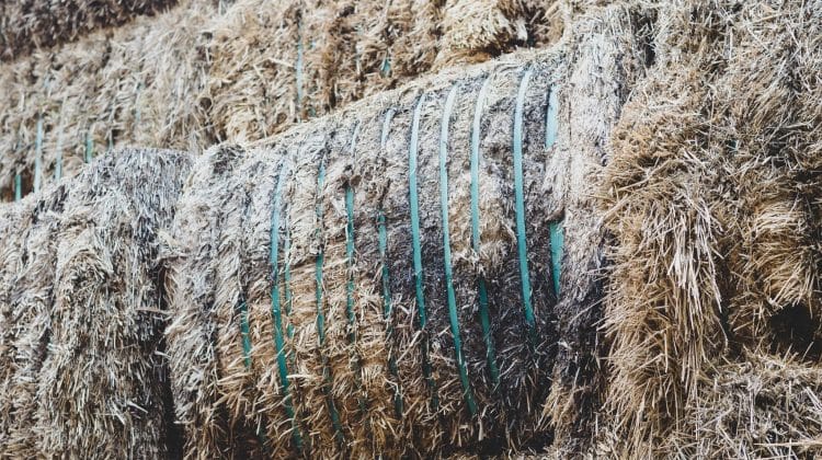 Hay Anchoring Systems Explained: Do You Really Need Extra Fasteners, Weights, or Straps?