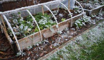 DIY Frost Protection for Your Veggie Garden with Heavy-Duty Tarps