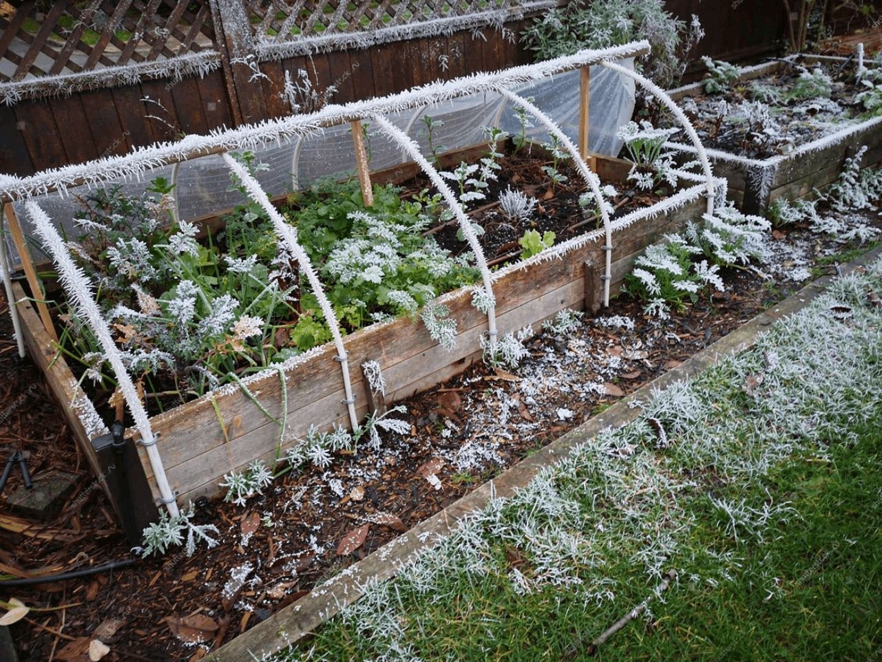 DIY Frost Protection for Your Veggie Garden with Heavy-Duty Tarps