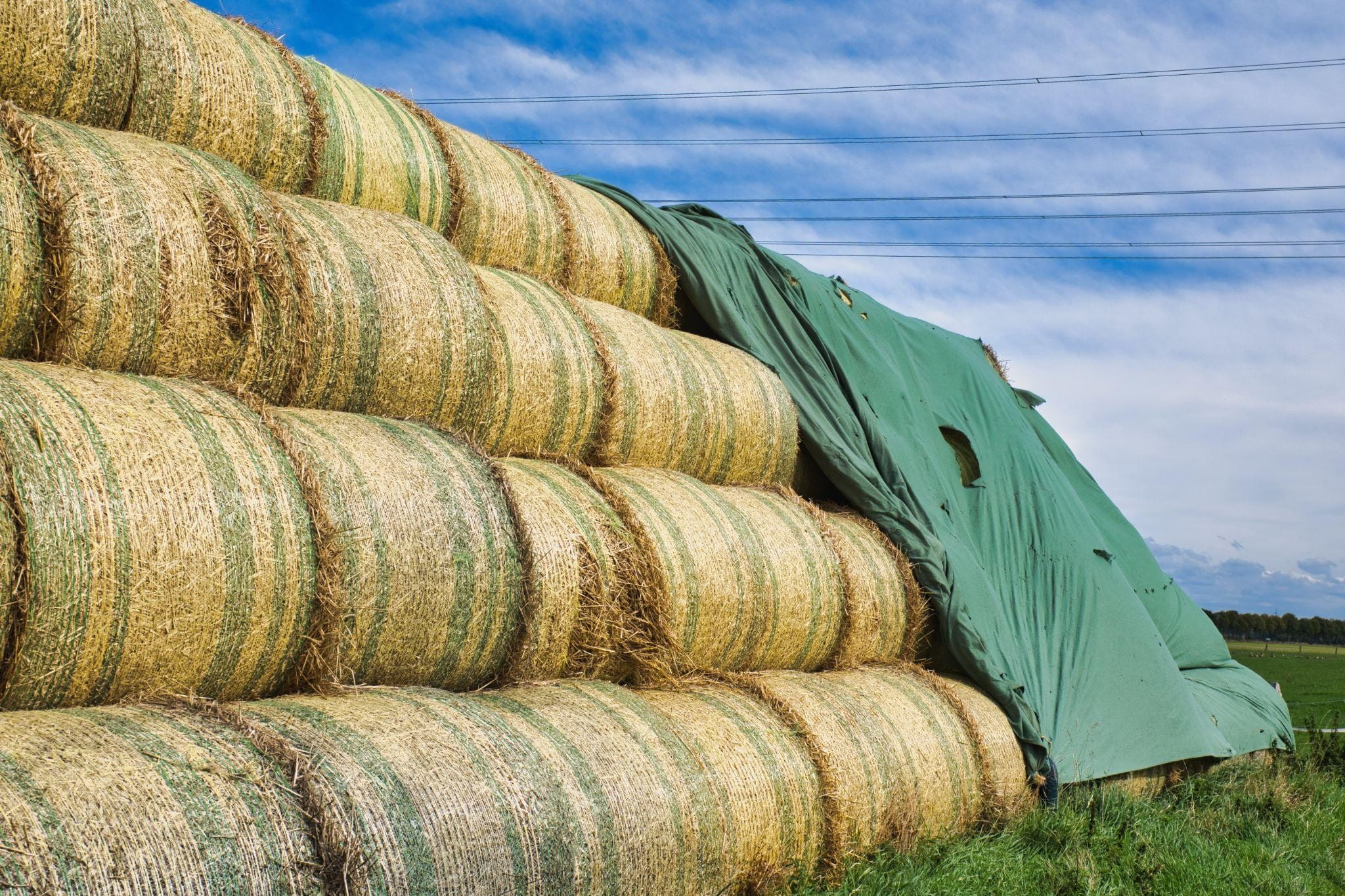 Farm Tarp Buying Guide