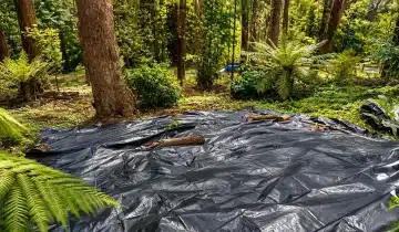 We Covered The Weeds.  Here’s What Happened